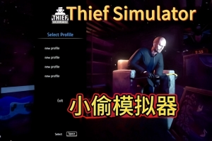 小偷模拟器/窃贼模拟器/盗贼模拟/Thief Simulator