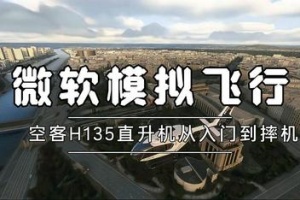 微软飞行模拟/Microsoft Flight Simulator