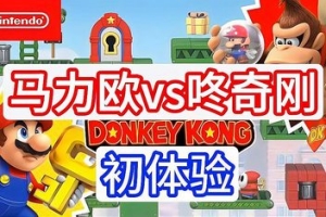 马里奥vs咚奇刚/Mario Vs Donkeykong