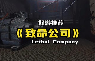 致命公司/Lethal Company