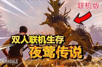 夜莺传说/Nightingale 支持网络联机