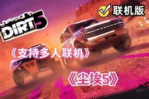 尘埃5/DIRT 5/支持网络联机