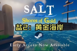 海盐2:黄金海岸/Salt 2: Shores of Gold