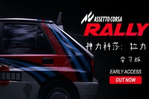 神力科莎：拉力/Assetto Corsa Rally