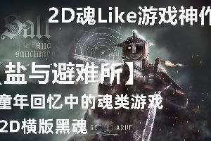 盐和避难所/盐与避难所/Salt and Sanctuary